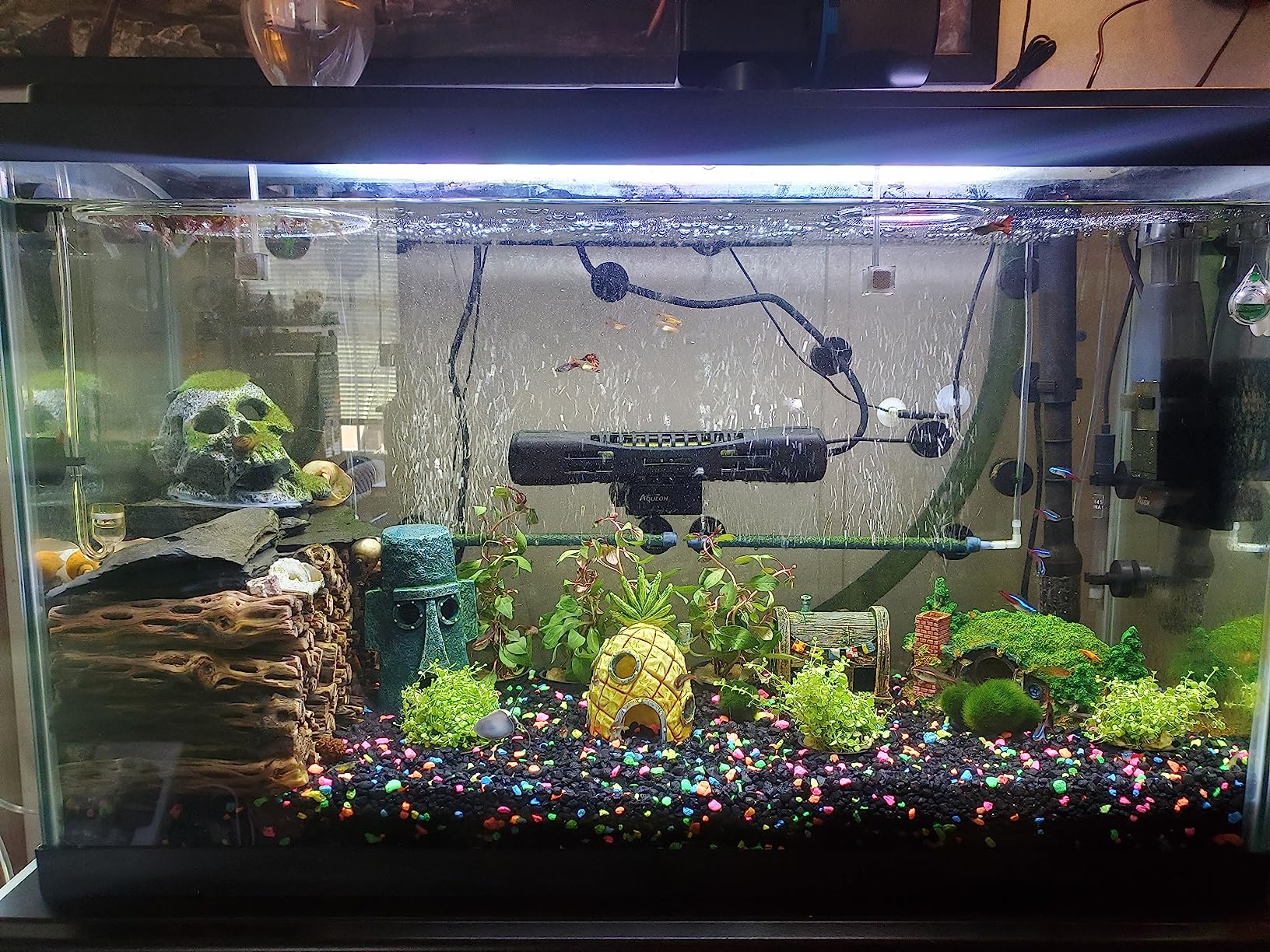 10 gallon community tank with colored gravel, moss balls and small foreground plants